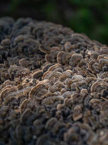 Textures